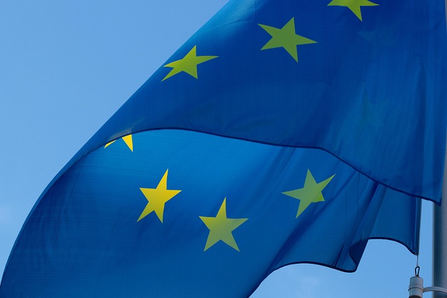 Eus utfordringer: Danmarks stemme i brussel